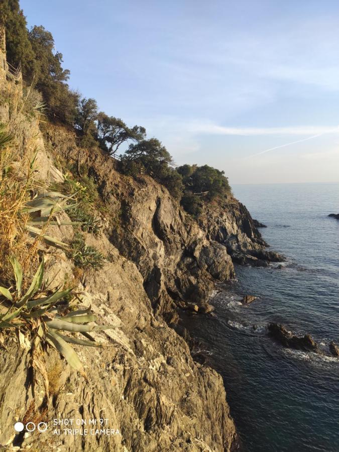 Via Verdi 5, Gli Affreschi Monterosso al Mare Extérieur photo